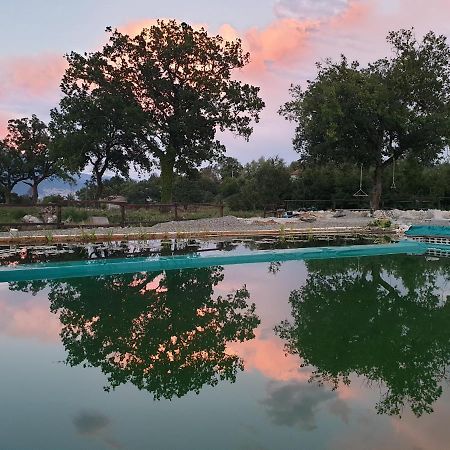Agriturismo Albero Del Miele Villa San Rufo Kültér fotó