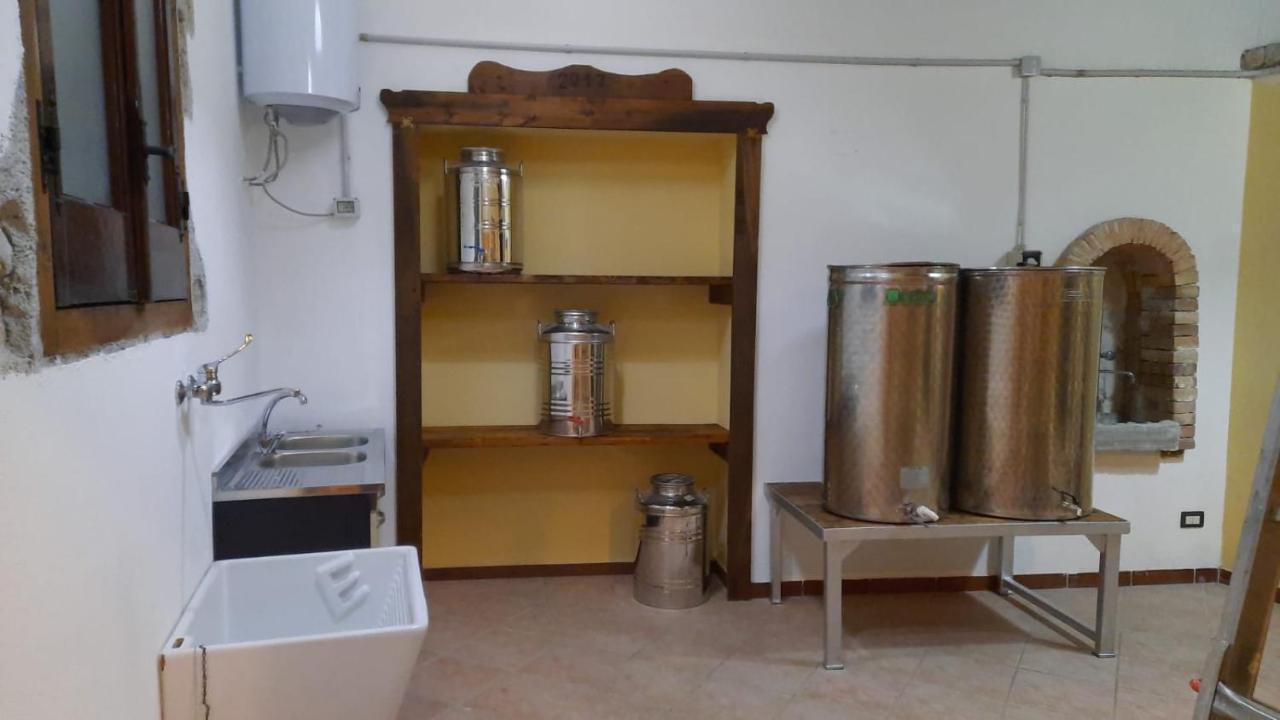 Agriturismo Albero Del Miele Villa San Rufo Kültér fotó