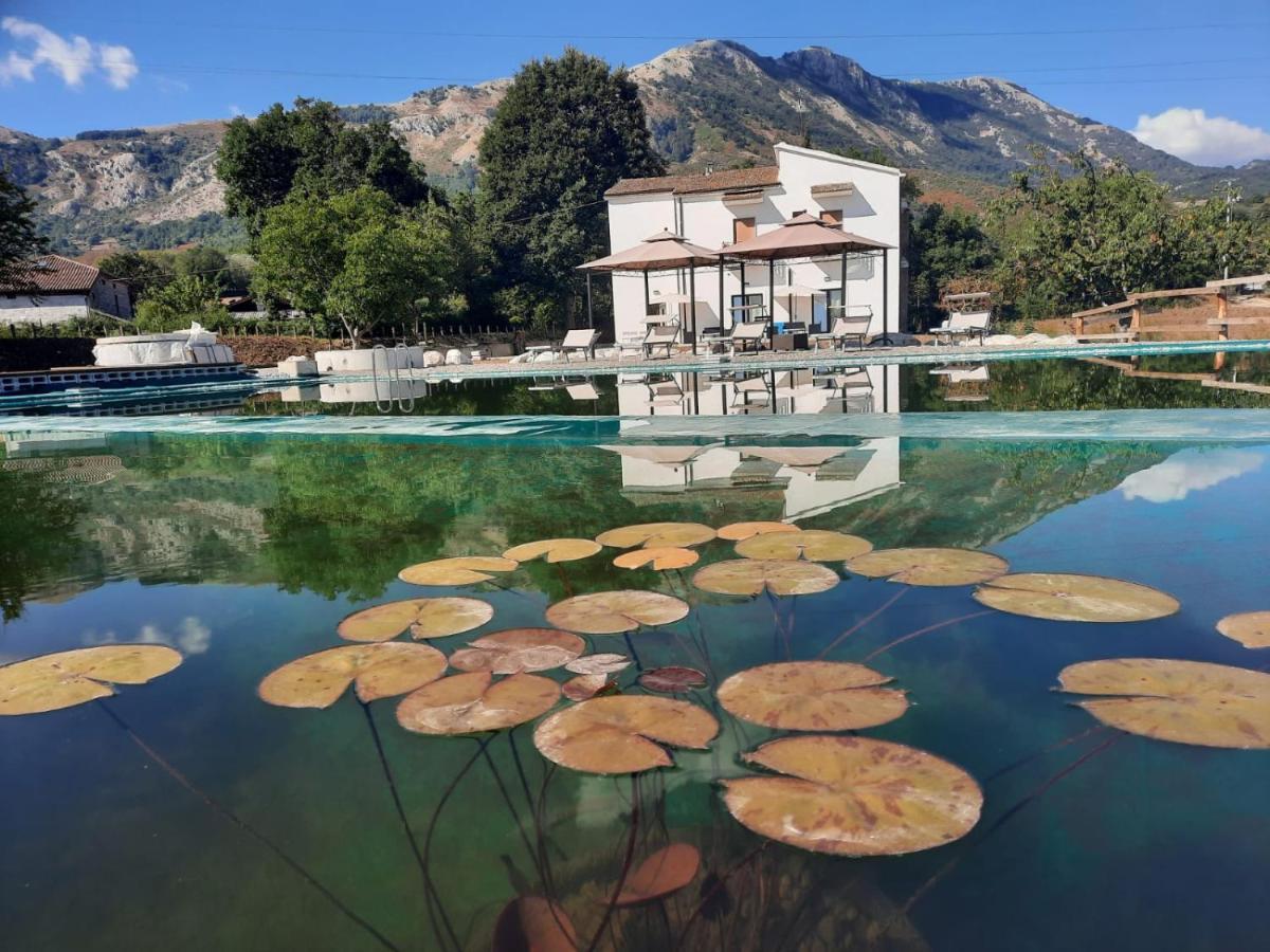 Agriturismo Albero Del Miele Villa San Rufo Kültér fotó