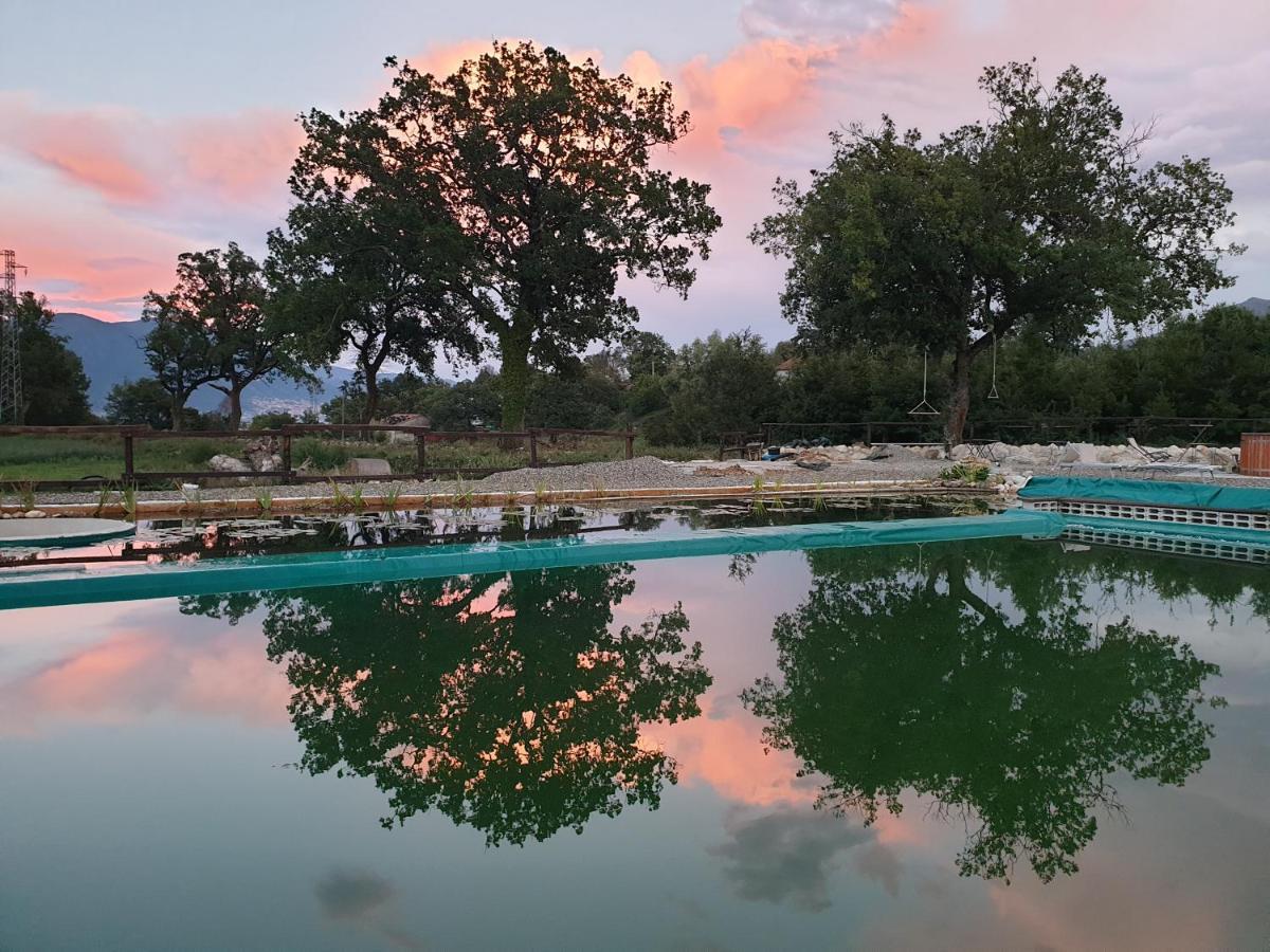Agriturismo Albero Del Miele Villa San Rufo Kültér fotó